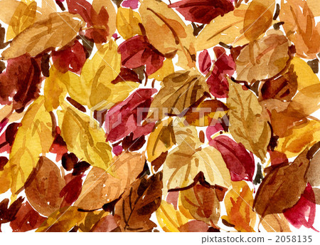 枯葉 落葉 葉子 2058135