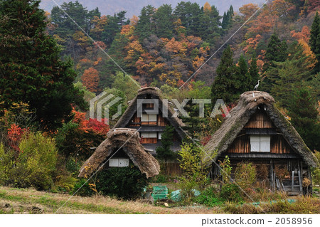 秋季葉子和建築學與建築學 秋季葉子和建築學與建築學 2058956