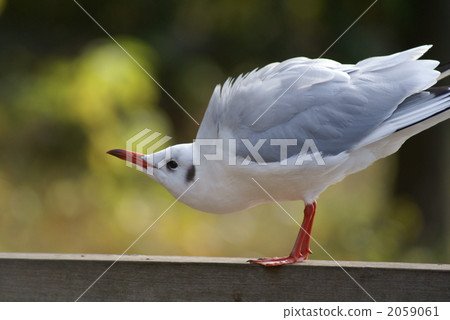 This is still angry ... This is still angry ... 2059061