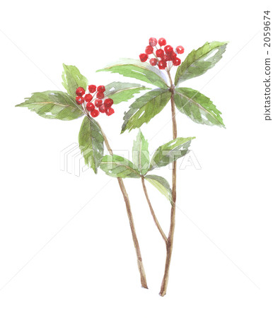 成千上萬的人 成千上萬的人 2059674