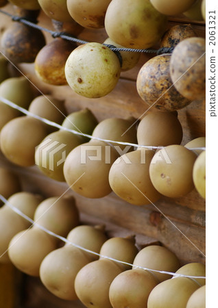 很多 許多 非常 2061321