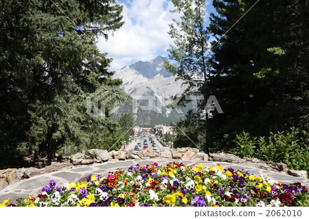 落基山 花床 花園 2062010
