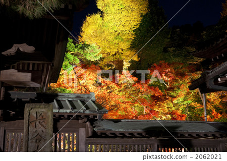 Hase-dera寺廟秋葉 2062021