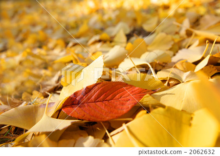 紅色突破點 紅色突破點 2062632