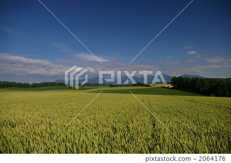 rural districts, rural scene, rural landscape 2064176