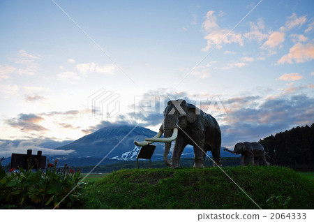 palaeoloxodon namadicus, elephant, elephants 2064333