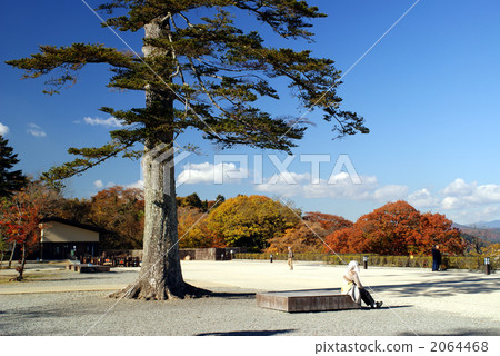 Sendai Castle Ruins (Honmaru Ruins) [Sendai City, Miyagi Prefecture] 2064468