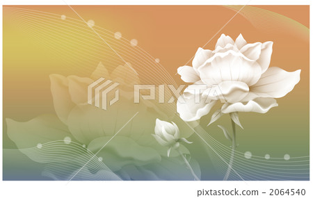 花/自然/植物群和動物群_k _ 456447 2064540
