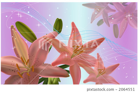 花/自然/植物群和動物群_k_456454 花/自然/植物群和動物群_k_456454 2064551