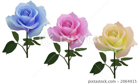 Rose   2064915
