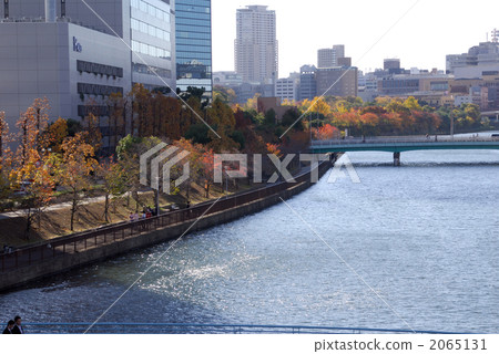 Okawa autumn leaves Okawa autumn leaves 2065131