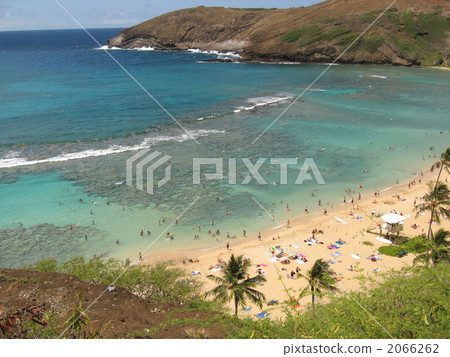 哈瑙瑪灣 2066262