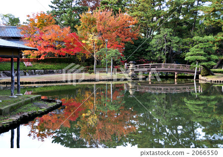 Autumn leaves of Hakusan Park Autumn leaves of Hakusan Park 2066550