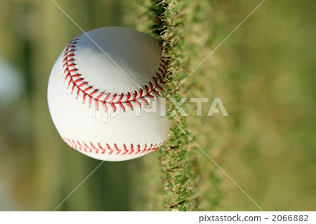 硬式棒球 球 青少年棒球 2066882