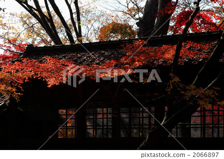 大陸寺廟走廊和Momiji秋葉 大陸寺廟走廊和Momiji秋葉 2066897