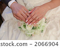  wedding 2066904