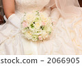 A bouquet 2066905
