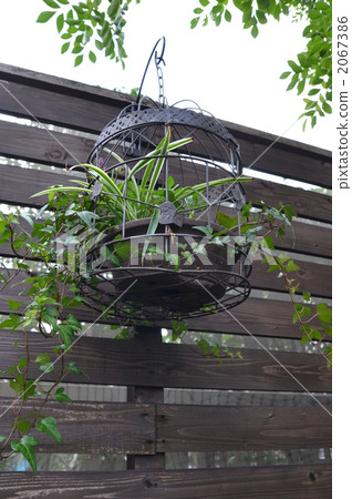 grouped-row planting, garden furniture, birdcage 2067386