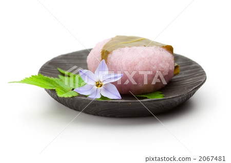 櫻花 2067481