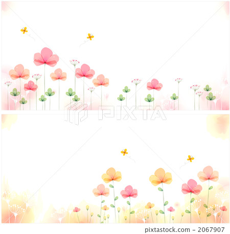 花/自然/植物群和動物群_k_557641 2067907