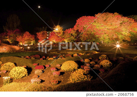 秋葉走廊夜庭院和秋葉 秋葉走廊夜庭院和秋葉 2068756