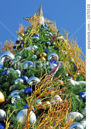 Seaworld's tree 2070528