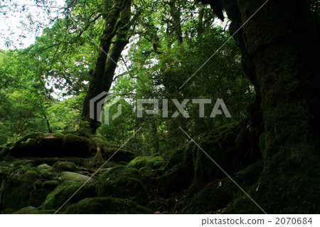 Shiratani Yunizu Gorge 2070684