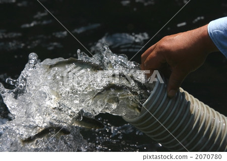 Release of aryu 2070780