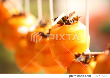 dried persimmons, shibugaki, sun drying 2071365