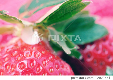 Ichigo溫暖 2071451