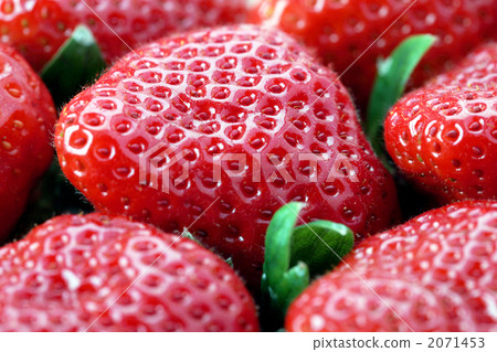 Ichigo warmer 2071453