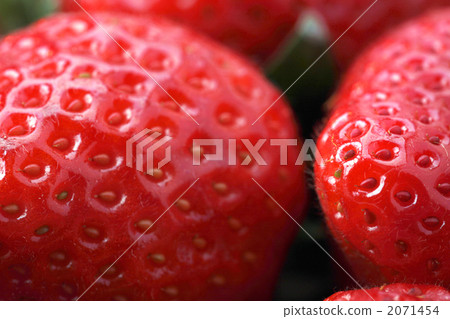 Ichigo溫暖 2071454