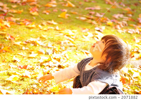 beautiful, pretty, red leaf 2071882