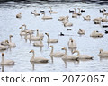 A peaceful relationship 2072067