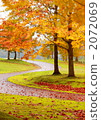 Aya 2072069