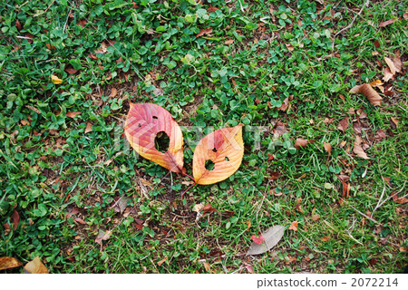 Surprised face fallen leaves and clover 2072214