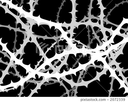 荊棘 荊棘 2072339