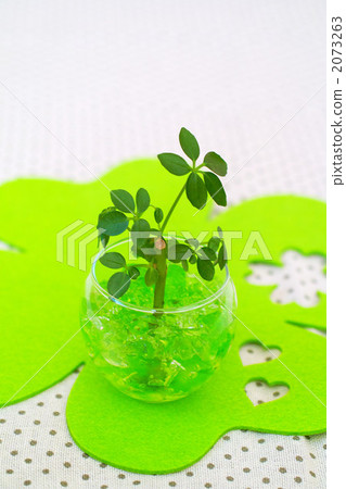 vegetation, vegetative, foliage plant 2073263