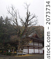 Okayama prefecture Kibitsu shrine's divine tree 2073734