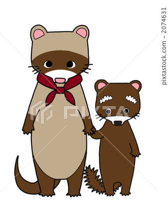 鼬 其他哺乳動物 動物 2074631