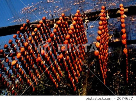 做串燒柿子 2074637