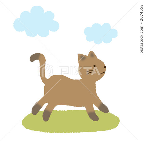 一隻貓的散步 一隻貓的散步 2074658