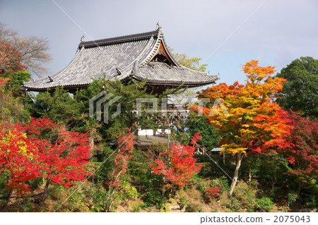 永林和川 寺 寺廟 2075043