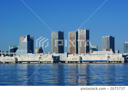 Shibaura 2075737