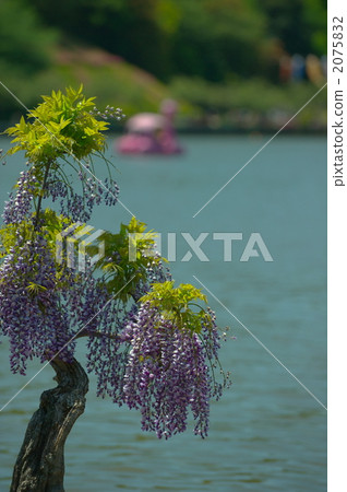 At the bank of the pond At the bank of the pond 2075832