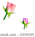 Bud rose 2076505
