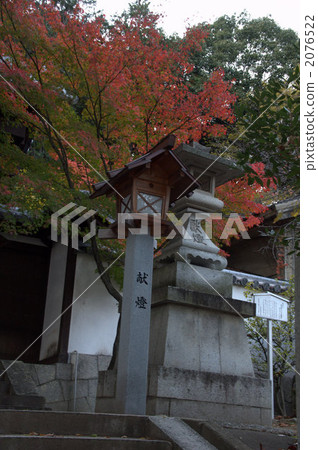 Matsuyama City Tonomune Shrine lantern Matsuyama City Tonomune Shrine lantern 2076522
