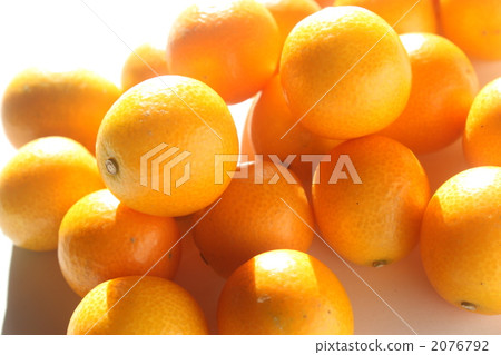 Kintetsu with net 2076792