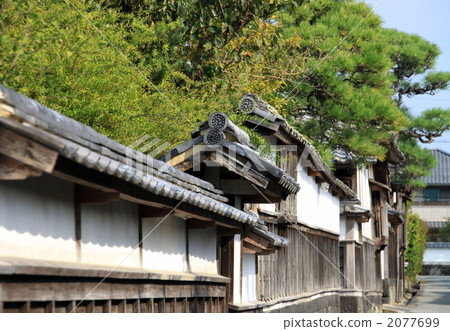 布什三葉草 2077699