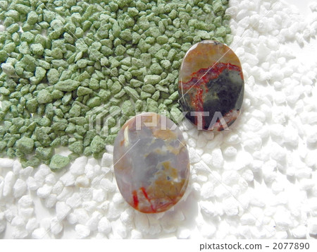 化石糞便恐龍（coplightite）珠子 2077890